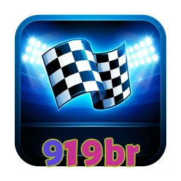 919br